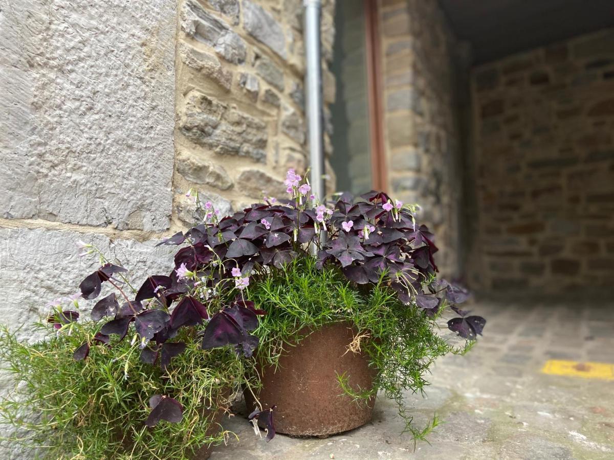 Fenetre Sur Theux Apartment Exterior foto